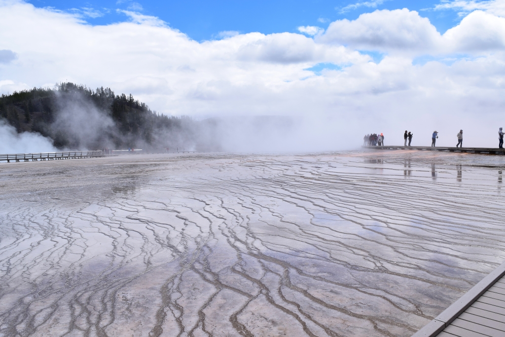 From Snow to Showers: Embracing the Charm of Early Spring in Yellowstone