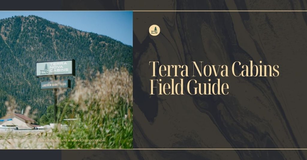 Terra Nova Cabins Field Guide